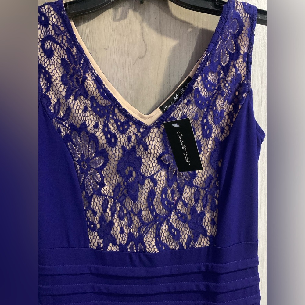 Women’s Petite small lace dress